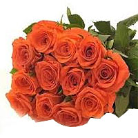 Hand tied bouquet of 11 orange roses wrapped with cellophane.<br>The simplicity ...