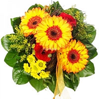 Happy sunflowers, green anastacia, curled aspidistra leaves and other seasonal f...