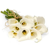 This mourning bouquet consists of white Calla and a matching green mix. ...