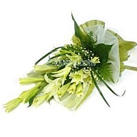 You may express your sorrow with this classic bouquet of white liliums....