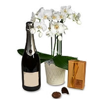 A delivery of white orchid Falaenopsis, a bottle of champagne and chocolates - f...