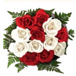 Delightful Festive Season Red and White Rose Bouquet