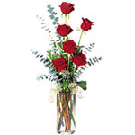 Distinctive Gift of 6 Red Roses
