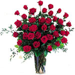 Beautiful 3 Dozen Long Stemmed Scattering Red Roses