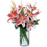 Fondest Affections of Lilies