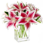 Romantic Fragrant Blooms