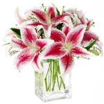 Pamper your loved ones by sending them this Romant...