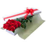 Elegant Composition of 12 Red Rose