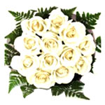 Dreamy 12 White Roses for Christmas