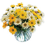 Sunburst Lemonade Bouquet in a Vase