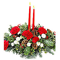 Share the joy this season with a festive fresh arrangement of red carnations and...