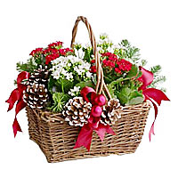 For a truly charming gift this New Year, send a garden basket filled with bright...
