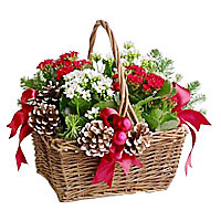 New Year Garden Basket
