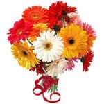 This hand-tied Gerbera Daisy bouquet contains a mi...