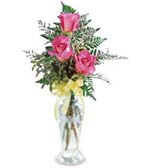 Triple Delight Rose in Vase 