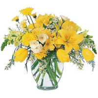 This bright yellow jar arrangement of Alstroemeria, Carnations, Snapdragons and ...