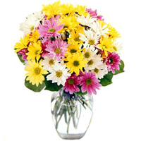 This mixed daisy bouquet features the bright color...