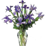With Beautiful Shades of Blue, This Iris Bouquet W......  to Red deer