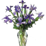 With Beautiful Shades of Blue, This Iris Bouquet W......  to Kelowna