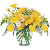 This bright yellow jar arrangement of Alstroemeria......  to Burlington