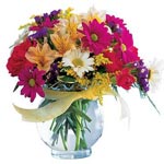 Richly hued alstroemeria, carnations, daisies and ......  to Gatineau
