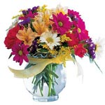 Richly hued alstroemeria, carnations, daisies and ......  to Cornwall