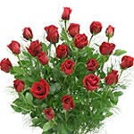 Two Dozen Red Roses Bouquet Direct From Garden.......  to Port Alberni