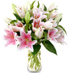 Lovely and fragrant Stargazer lilies are a wonderf......  to Mississauga