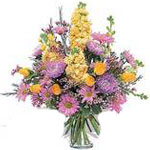 These perfect yellow and lavender Asters, Daisies,......  to Amqui