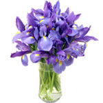 Send a spectacular spring showing with our Iris bo......  to Quesnel