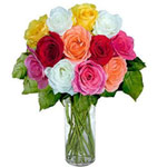 Delightful X- Mas Love Dozen Mix Roses in vase