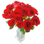 Distinctive One and Half Dozen Red Roses with Warm Wishes