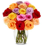 Breathtaking 18 Mixed Roses for New Year