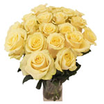 Radiant Vase of 18 Yellow Roses