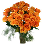 Stylish Gift of 24 Orange Roses