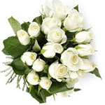 Captivating Christmas Love 18 White Roses