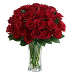 Radiant Blast of Red Roses