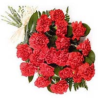 20 red carnations, with greens, and peach pink pac...