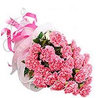 12 pink carnations, with greens, pink package, beautiful ribbon to tie.  ...