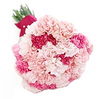 22 pink carnations and greens. single side package  ...