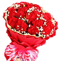 24 red carnations, matched with baby breath and greens, yellow and red package, ...