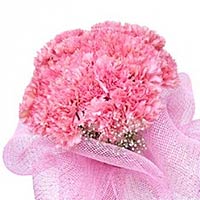 50 pink carnations and greens, pink gauze to wrap, white ribbon. A lovely small ...