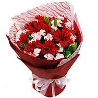 18 pink carnations, 10 red gerberas, red creper paper to wrap, pink ribbon.  ...