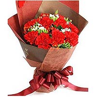11 red carnations,matched greens. brown package.  ...