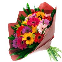 12 branches colorful gerberas. match green leaves, yellow gauze to pack, green r...