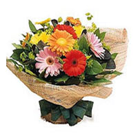 12 branches colorful gerberas. match green leaves,...