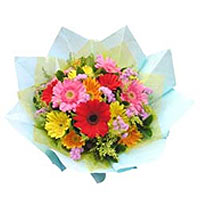 Colorful gerberas, match greenery and flowers. *(T...