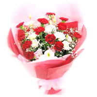 11 red carnations, 11 pink carnations, green stuff, fan-shaped bouquet. *(The pi...