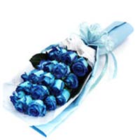 18 Chinese dying blue roses, white tissue pack inside, light blue paper pack out...