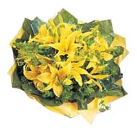 8 yellow perfume lilies, match greenery, green tissue paper pack inside, yellow ...